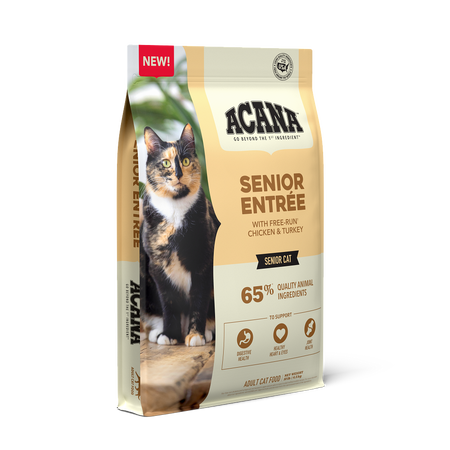 Senior dry cat top food